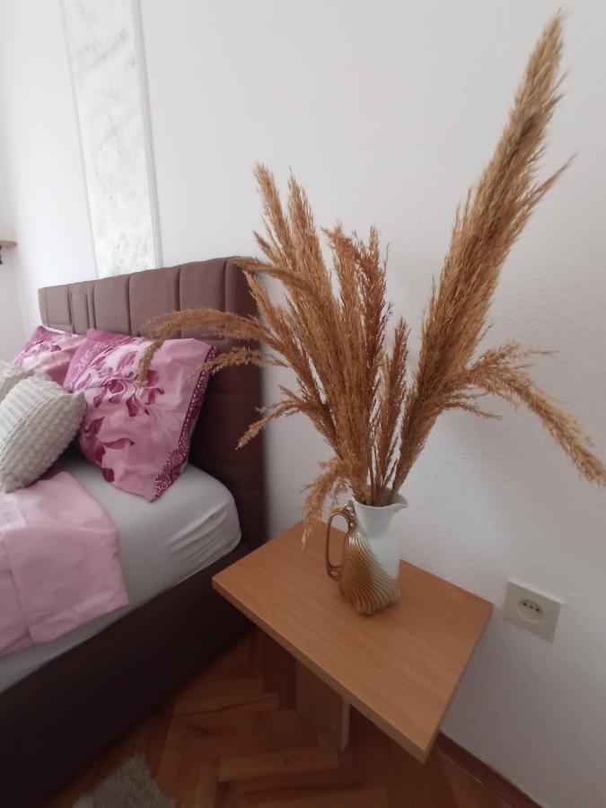 Apartman Maja Daire Trebin Dış mekan fotoğraf